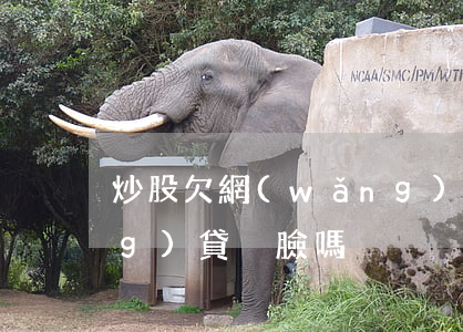 炒股欠網(wǎng)貸(炒股欠網(wǎng)貸 丟臉嗎)