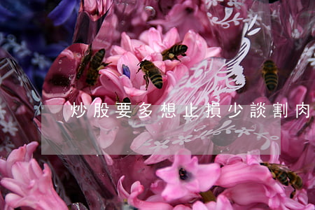 炒股要多想止損少談割肉