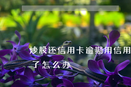 炒股还信用卡逾期(用信用卡炒股赔钱还不起了怎么办)