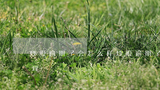 炒股逾期了会怎么样(炒股逾期了会怎么样处理)