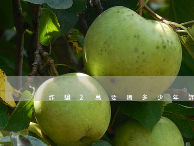 炸騙2萬要捕多少年(詐騙30萬能判多少年)