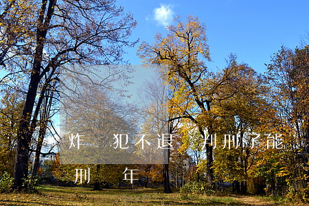 炸騙犯不退錢判刑了能減刑嗎(炸騙從犯要判刑幾年)