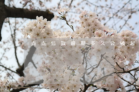 点点借款逾期多久会被起诉(点点贷款逾期)