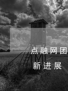 点融网团团赚逾期(团贷网贴吧论坛团贷网最新进展)