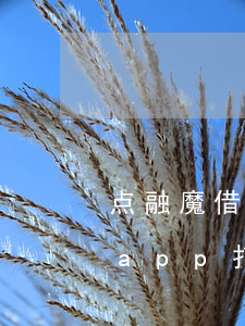 点融魔借app打不开怎么还款-点融魔借app打不开怎么还款了
