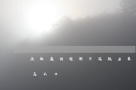 点融魔借逾期不还款后果(点融魔借无法还款怎么办)