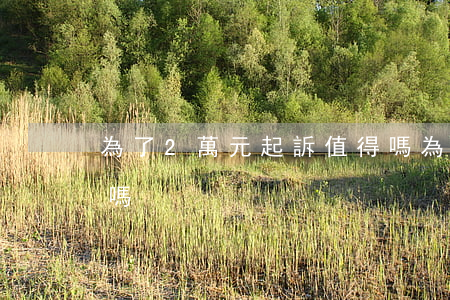 為了2萬元起訴值得嗎(為了2萬元起訴值得嗎)