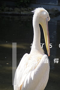 為了500元起訴值得嗎(為了2000元起訴值得嗎)