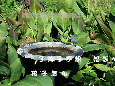 為了孩子不想離婚怎么辦(想離婚又不想傷害孩子怎么辦)