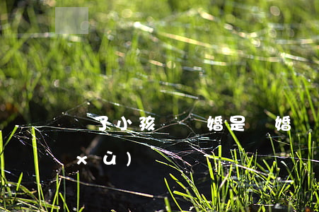 為了小孩別離婚(是離婚還是為了孩子繼續(xù))