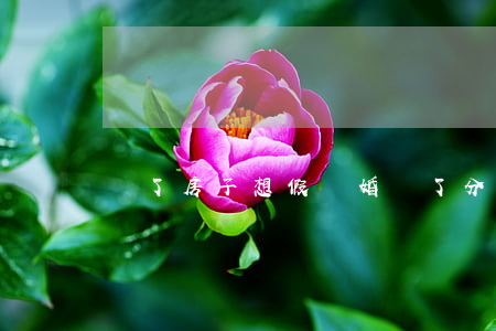 為了房子想假離婚(為了分房子搞假離婚)