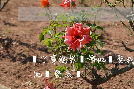 為了摩羯男離婚他會娶我嗎(為了摩羯男離婚他會娶我嗎)