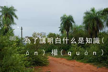 為了講明白什么是知識(shí)產(chǎn)權(quán)，我整個(gè)人都分裂了！