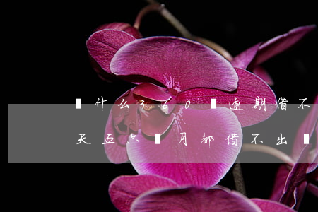 為什么360沒逾期借不了(360逾期了一天 五六個月都借不出來)