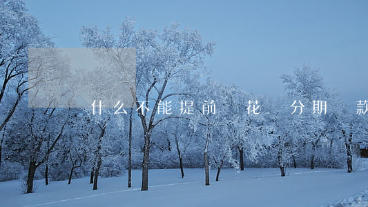 為什么不能提前還花唄分期還款-