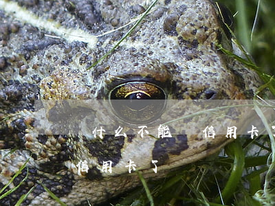 為什么不能還信用卡了-微信為什么不能還信用卡了