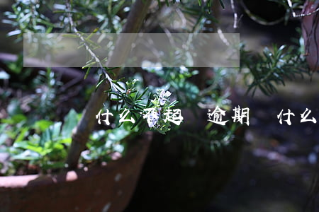 為什么不起訴逾期(為什么不起訴逾期)