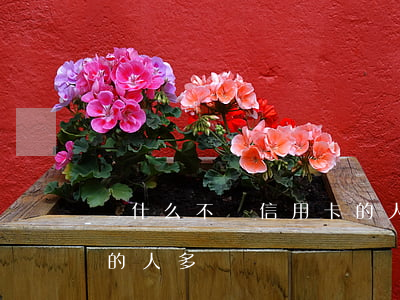 為什么不還信用卡的人多(為什么不還信用卡的人多)