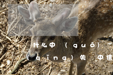 為什么中國(guó)銀行信用卡分期申請(qǐng)失?。ㄖ行判庞每ㄓ馄谏暾?qǐng)分期不成功）