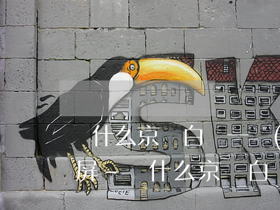 為什么京東白條一點(diǎn)還款就白屏-為什么京東白條一點(diǎn)還款就白屏了