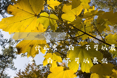 為什么京東白條不可以最低還款了-為什么京東白條不可以最低還款了呢