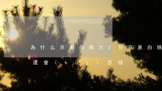 為什么京東白條欠2分(京東白條欠一分錢不還會(huì)怎樣)