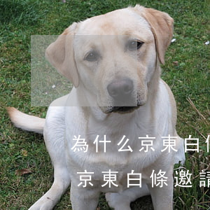 為什么京東白條邀請不了好友還款-為什么京東白條邀請不了好友還款呢