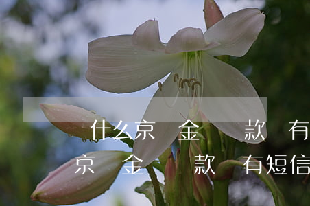 為什么京東金條還款沒有短信提醒-為什么京東金條還款沒有短信提醒了