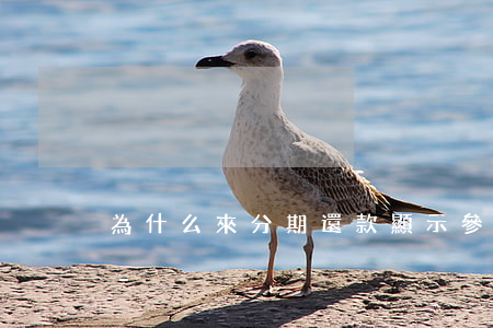為什么來分期還款顯示參數(shù)錯誤-