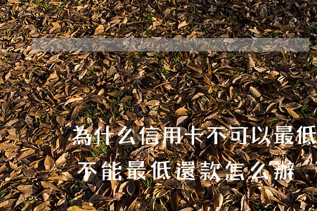 為什么信用卡不可以最低還款了（信用卡逾期不能最低還款怎么辦）