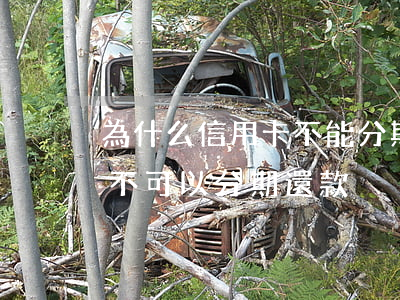 為什么信用卡不能分期還款（信用卡逾期后可不可以分期還款）