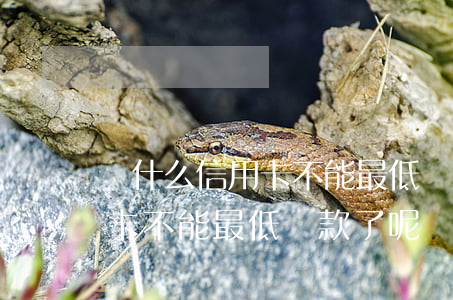 為什么信用卡不能最低還款了-為什么信用卡不能最低還款了呢