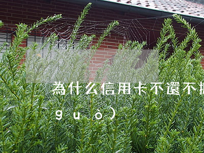 為什么信用卡不還不抓(信用卡總是不通過(guò))
