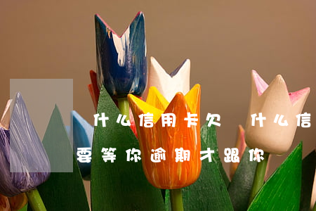 為什么信用卡欠(為什么信用卡欠款銀行一定要等你逾期才跟你談)