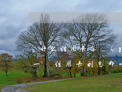 為什么信用卡每個(gè)月還款利息都不一樣（信用卡利息都一樣的）