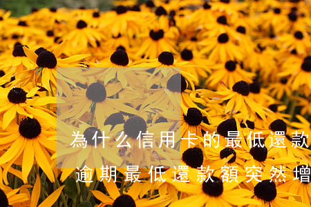 為什么信用卡的最低還款額突然增加（信用卡逾期最低還款額突然增加）