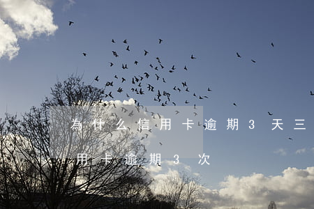 為什么信用卡逾期3天(三年內(nèi)信用卡逾期3次)