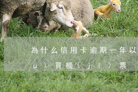 為什么信用卡逾期一年以上還可以購(gòu)買機(jī)票