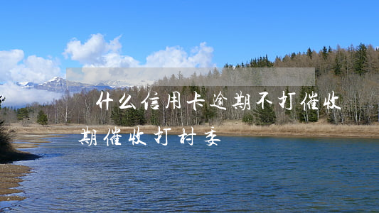 為什么信用卡逾期不打催收電話了（信用卡逾期催收打村委會）
