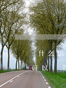為什么信用卡逾期不能貸款(有信用卡無逾期可以貸款嗎)
