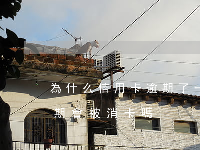 為什么信用卡逾期了一定要注銷呢（信用卡逾期會被消卡嗎）