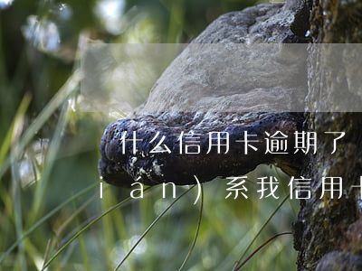 為什么信用卡逾期了沒(méi)人聯(lián)系我（信用卡逾期聯(lián)系家人可以投訴嗎）