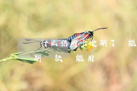 為什么信用卡逾期了還能用（不小心信用卡逾期還款還能用嗎）
