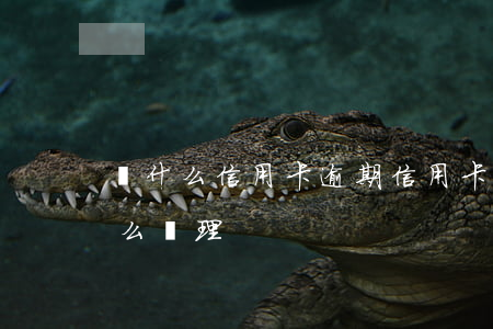 為什么信用卡逾期（信用卡超支逾期還不起怎么處理）