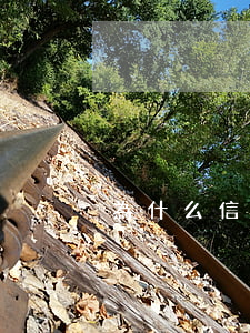 為什么信用卡逾期（做生意逾期信用卡）