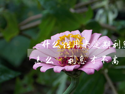 為什么信用卡逾期利息那么高（信用卡逾期要怎么還利息才不高）