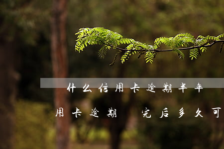 為什么信用卡逾期半年錢還了怎么還能用（信用卡逾期還完后多久可以使用）