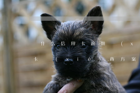 為什么信用卡逾期協(xié)商不了（信用卡協(xié)商方案后逾期）