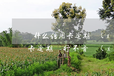 為什么信用卡逾期協(xié)商不了（信用卡逾期銀行不肯協(xié)商怎么辦）