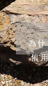 為什么信用卡逾期協(xié)商不了（浙商信用卡逾期協(xié)商成功）